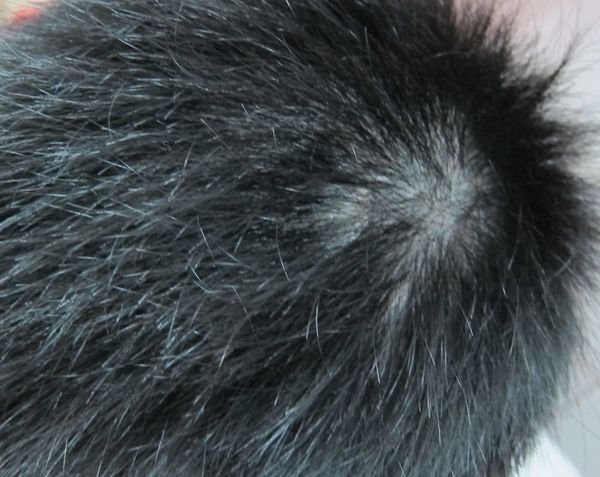 1515931829-253814531_n.jpg?v=1515931843