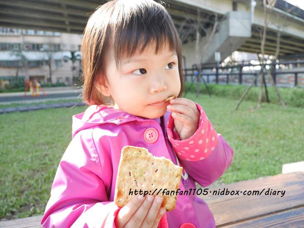 1516263772-4206636247_n.jpg?v=1516263777