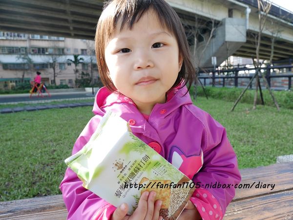 1516263772-3012119900_n.jpg?v=1516263777