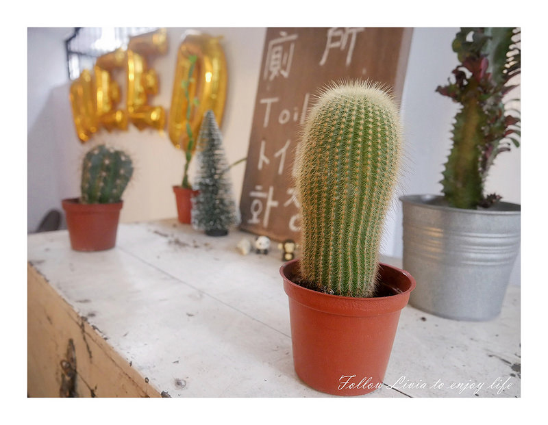 28328017079_032e2aebc1_c.jpg?v=pixnet-flickr-app-version