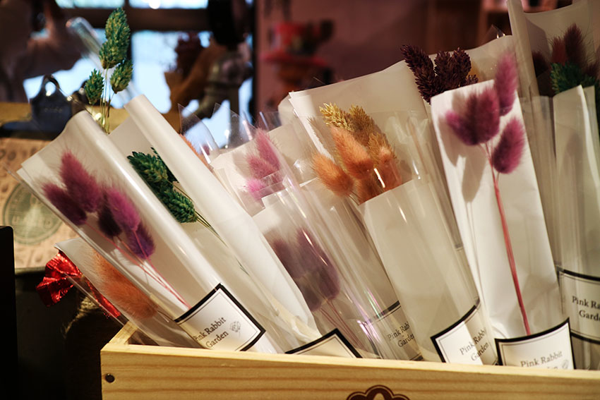 1516518350-408758521.jpg?v=1516518351