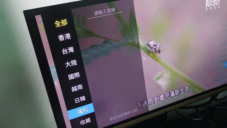 69a3177e0350a6077eabb8565c260615.gif?1516518842