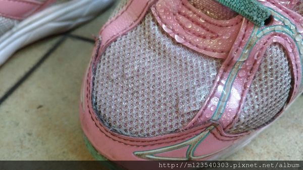 1516663859-2618559393_n.jpg?v=1516663868