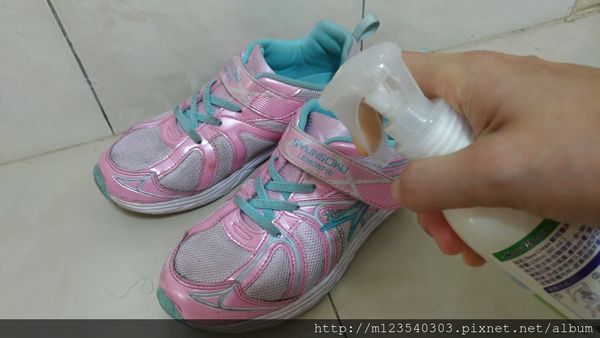 1516577519-2222130980_n.jpg?v=1516577544