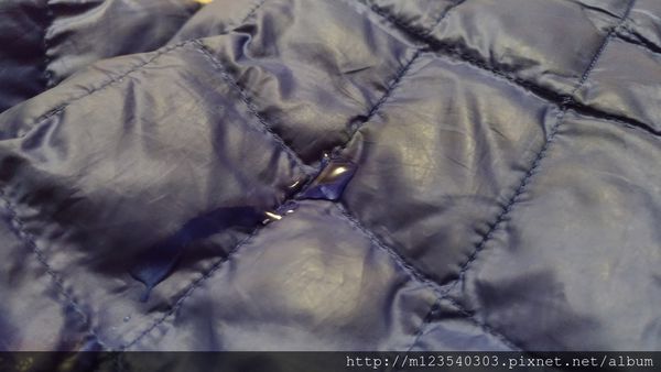 1516625469-2783386998_n.jpg?v=1516625488