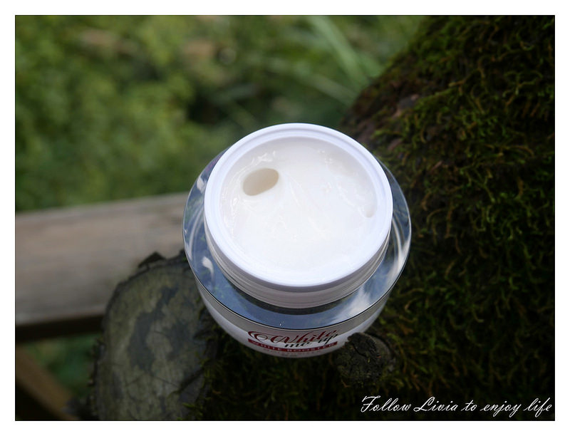 25883394468_8c8488104c_c.jpg?v=pixnet-flickr-app-version