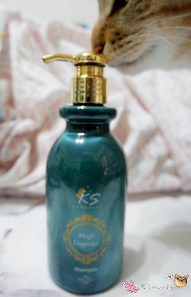 1517855957-3562862727.jpg?v=1517855983