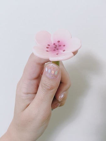 1518493648-1734533801_m.jpg?v=1518493657