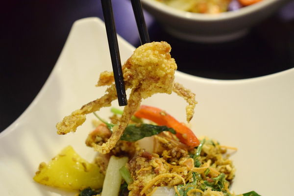 1517234427-1658591493_n.jpg?v=1517234468