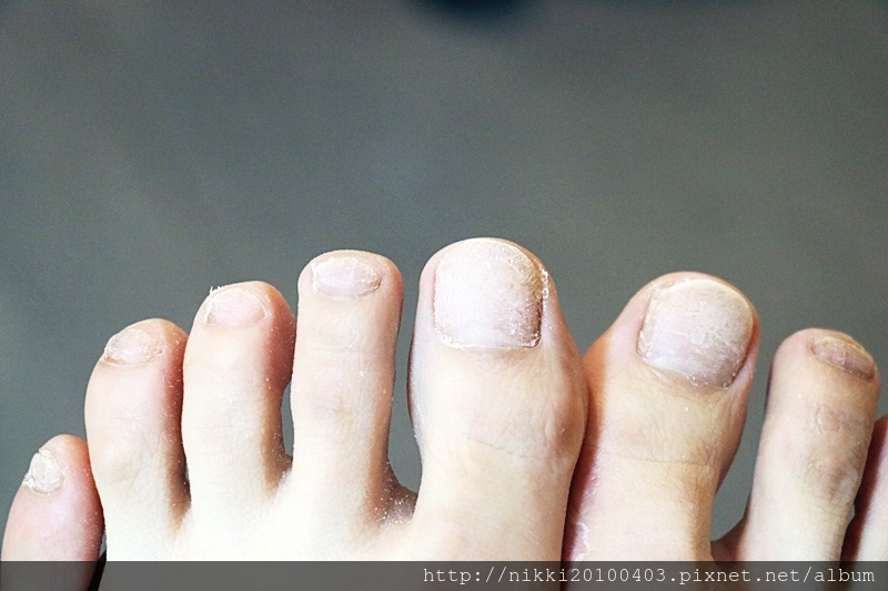 1518442244-3874091186.jpg?v=1518444076