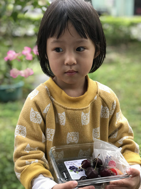 26290892418_cf5833a0e6_z.jpg?v=pixnet-flickr-app-version