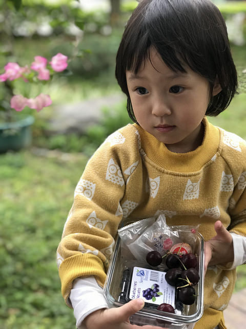 28383662309_2d6aa43e34_z.jpg?v=pixnet-flickr-app-version