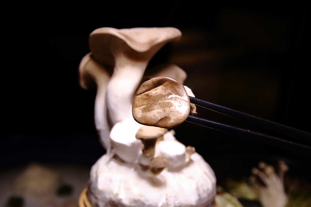 1519543260-3918408158_l.jpg?v=1519543266