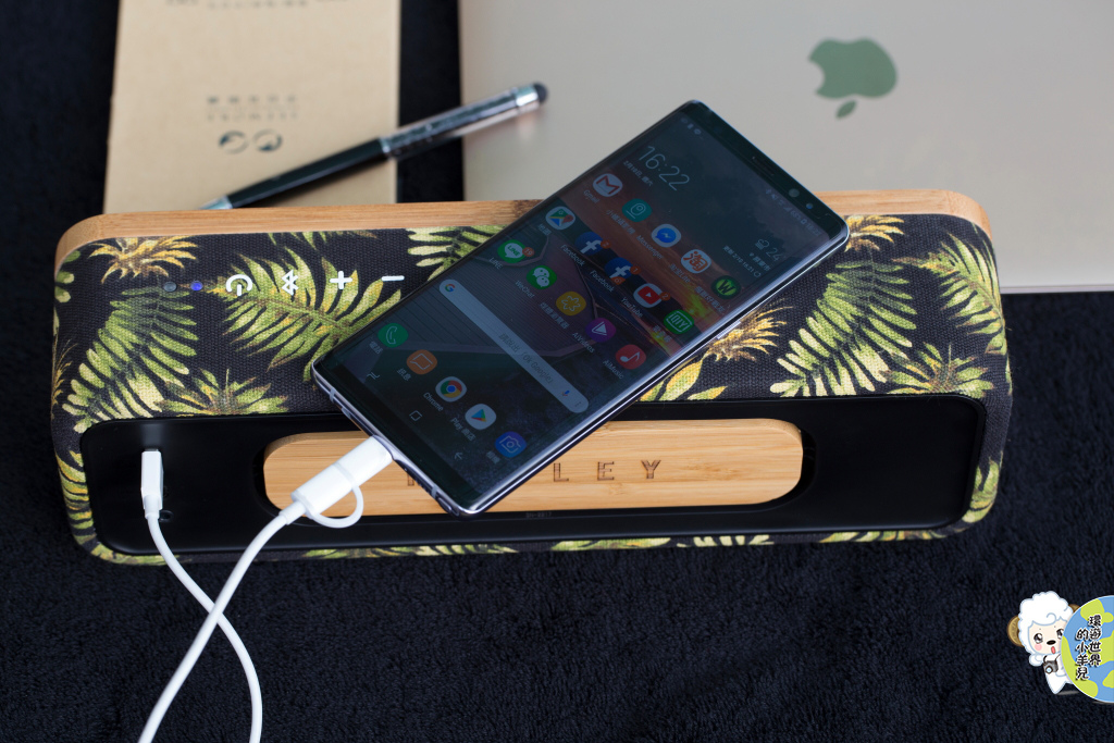 1519128284-3367350662.jpg?v=1519128310