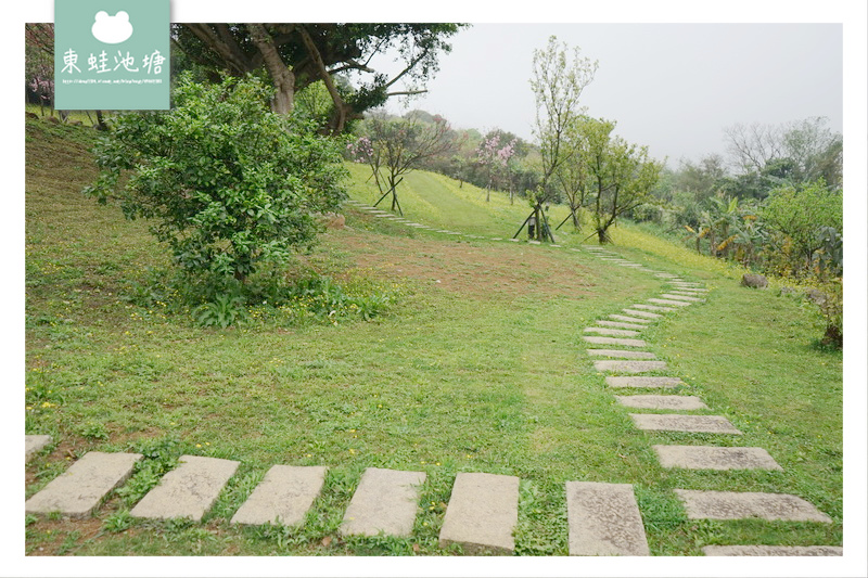 1520499305-2402894353.jpg?v=1520499329