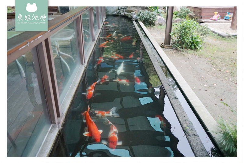 1520499305-1624141972.jpg?v=1520499329