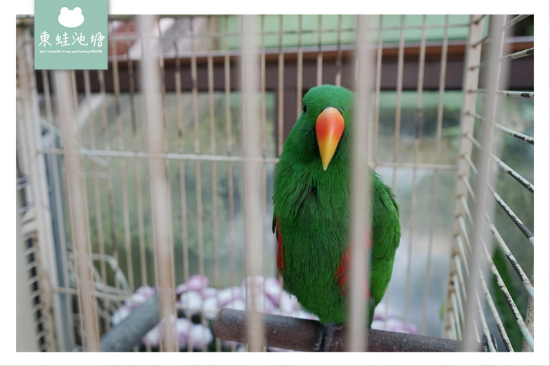 1520499306-1969577510.jpg?v=1520499329