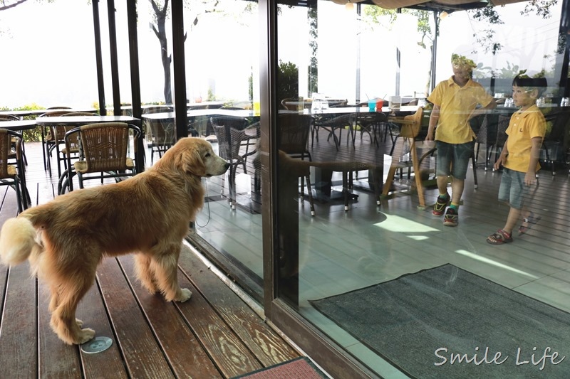 1525227467-1728533759.jpg?v=1525227468