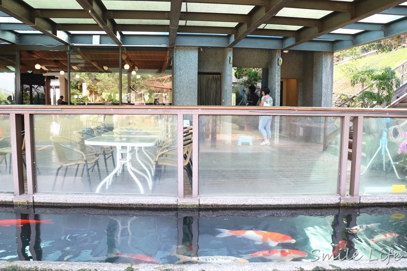 1525227337-2627014010.jpg?v=1525227338