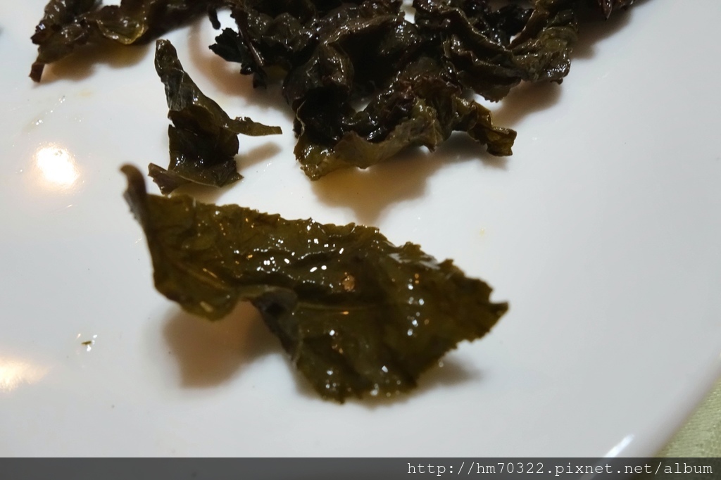 1521946968-3508770686_l.jpg?v=1521946992