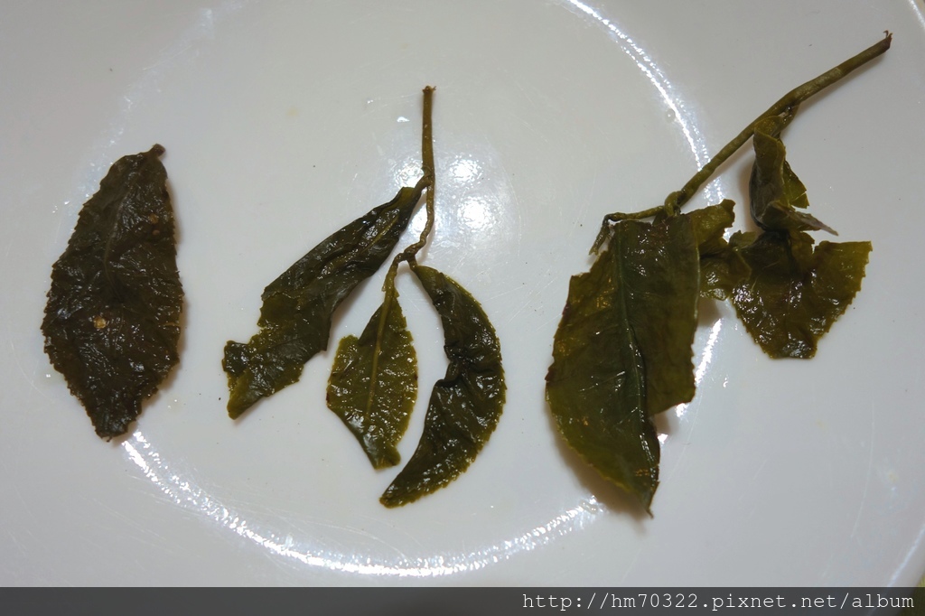 1521946976-1213519934_l.jpg?v=1521948301