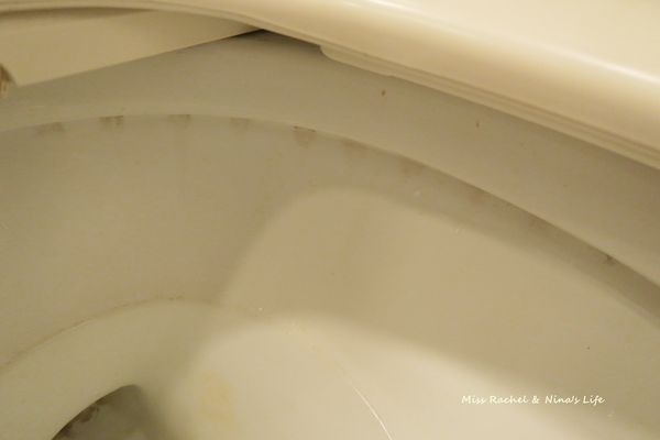 1523268902-616687444_n.jpg?v=1523268914