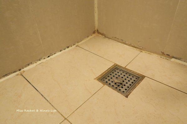 1523268894-577522901_n.jpg?v=1523268914