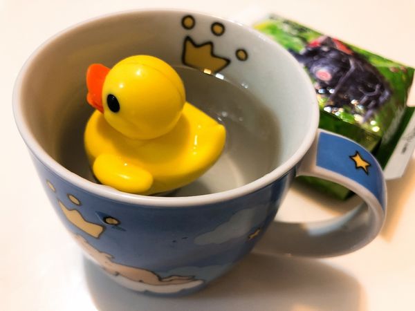 1520674951-538519164_n.jpg?v=1520674985