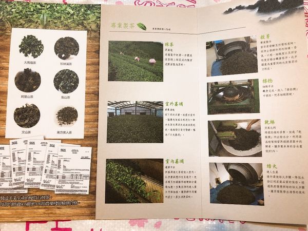 1520674970-3130233692_n.jpg?v=1520674985