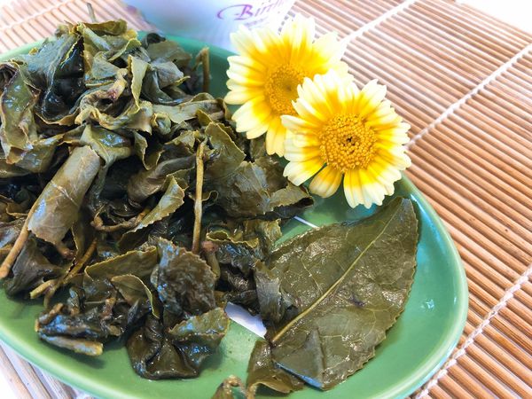 1520674964-2498356975_n.jpg?v=1520674985