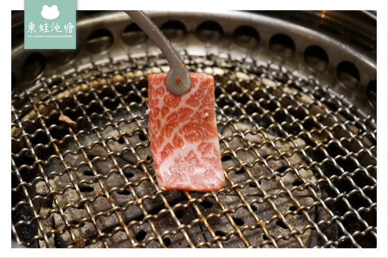 1522842446-3699721806.jpg?v=1522842455