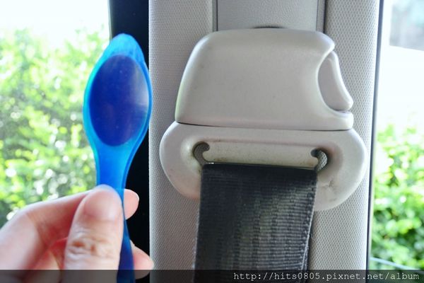 1522392757-1559694942_n.jpg?v=1522392792