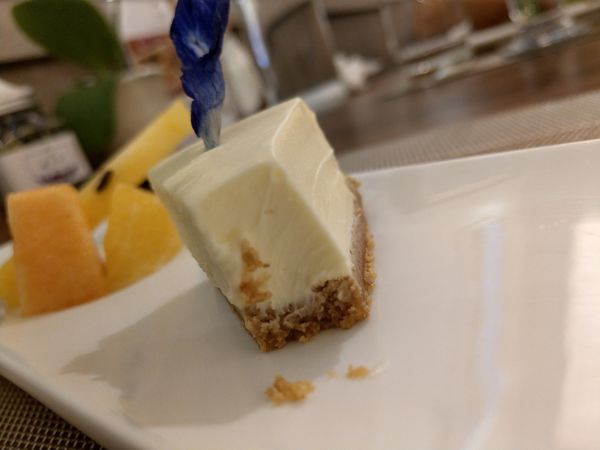 1525421755-1274162180_n.jpg?v=1525421781