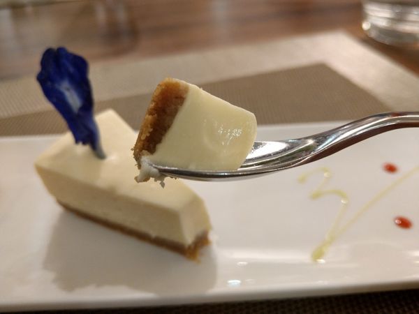 1525421755-233047825_n.jpg?v=1525421781