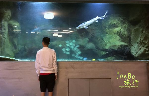 1525597175-54682778_n.jpg?v=1525597290