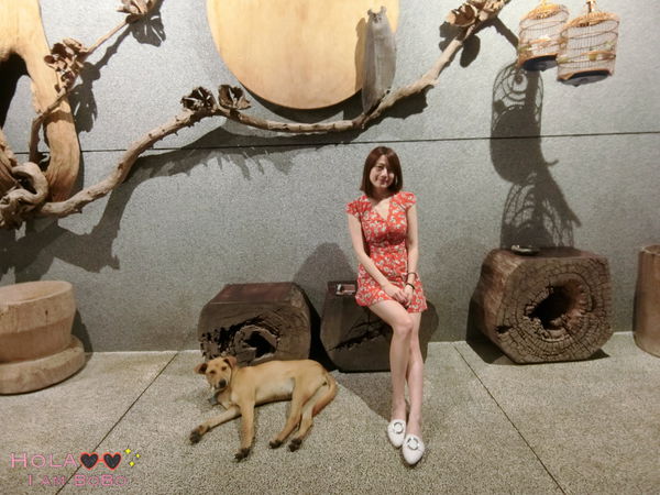 1524913067-2657724284_n.jpg?v=1524917246