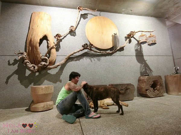 1524913081-1807049608_n.jpg?v=1524917247