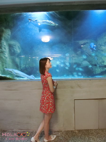 1524912964-2182101662_n.jpg?v=1524917245