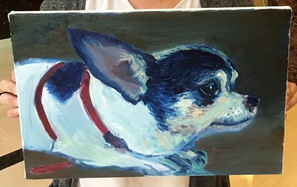 1525357511-3439443907_n.jpg?v=1525357512