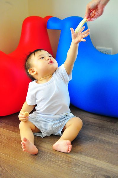 1524192235-3555839006_n.jpg?v=1524192239