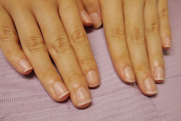 1523794860-3427021192_n.jpg?v=1523794861