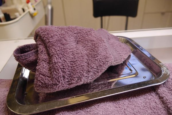 1523795154-824014203_n.jpg?v=1523795155