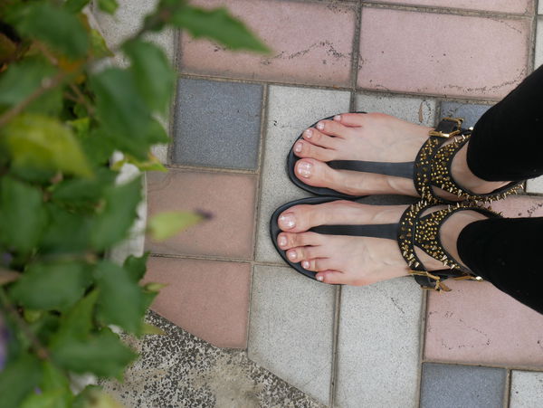 1524554538-3259287736_n.jpg?v=1524554998