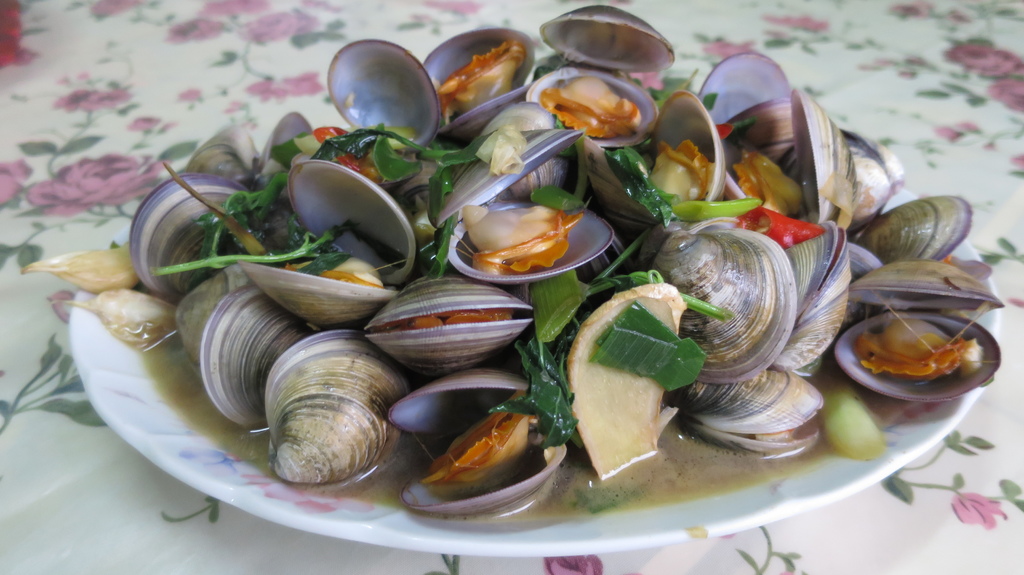 1524574272-813254632_l.jpg?v=1524574917