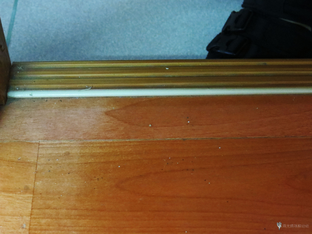 fuming富銘地板-繽紛毯(兩光媽咪柳幼幼) (28)