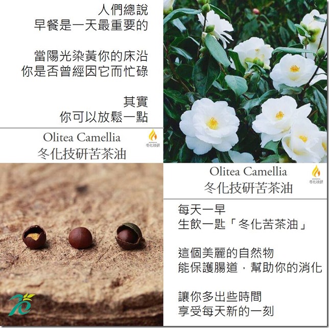 21766671_491702637853341_2796274747877185567_n