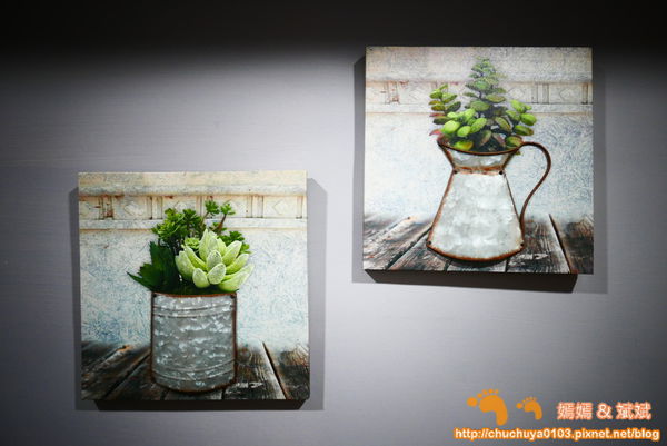 1524809116-3496397390_n.jpg?v=1524809668