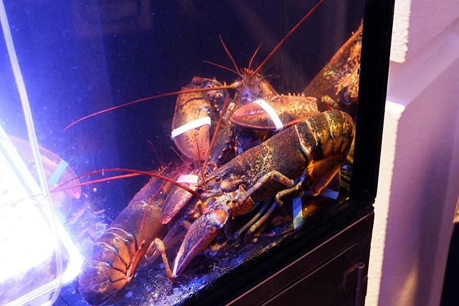 1525077829-2784749889.jpg?v=1525077953