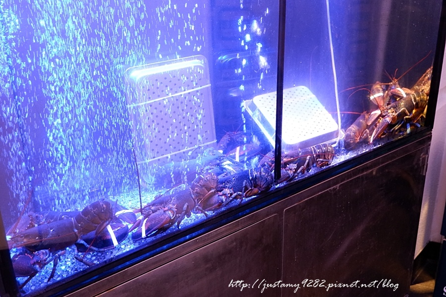 1525077828-2430406866.jpg?v=1525077953