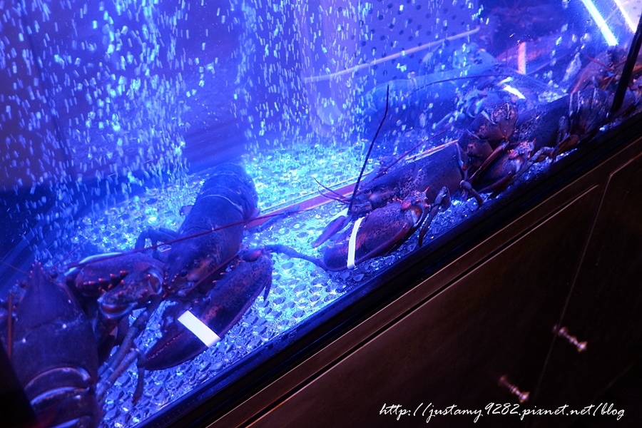 1525077829-60010347.jpg?v=1525077953